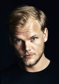 Avicii - Avicii Collection (2024) [Flac 16-44]