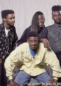 Living Color - collection (6 albums) (1988-2009) flac