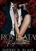 Sherry R. Blake - Feretti Sindacato Vol. 6. Rovinata Dal Rapimento (2025)