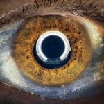 img I Cani - Aurora (2016) [Flac 16-44]