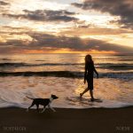 img Noemi - Nostalgia (Digital Bonus) (2025) [MP3 320/Flac 24-44]