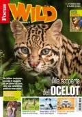 img Focus Wild - Ottobre 2025 [versione migliorata]