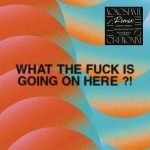 img Cesare Cremonini & Elisa - What The Fuck Is Going On Here! (2025) [Flac 16-44]