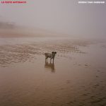 img Le Feste Antonacci - Uomini Cani Gabbiani (2025) [MP3 320/Flac 16-44]