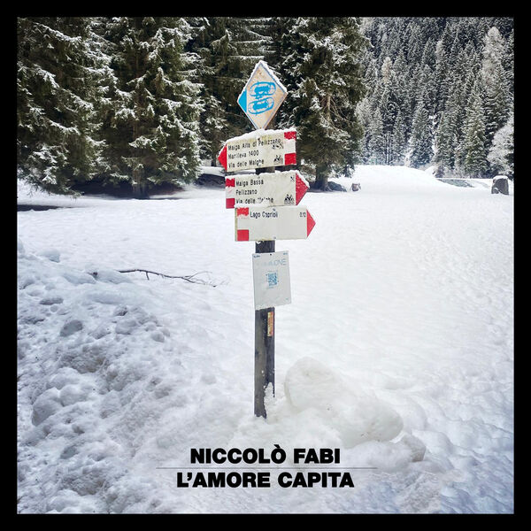 Niccolò Fabi – L’amore capita (2025) [MP3 320/Flac 24-44]