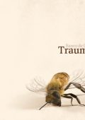 Banco De Gaia - Trauma (2024) FLAC 24/96