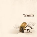 img Banco De Gaia - Trauma (2024) FLAC 24/96