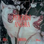 img Gardenia - Perdersi Ancora (2025) MP3/FLAC