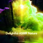 img Deep Forest - Delightful ASMR Nature (2025) [MP3 320/Flac 24-44]