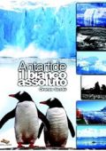 Scelzi, Oronzo - Antartide il bianco assoluto (2009) pdf