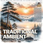 img VA - Traditional Ambient (2025) MP3