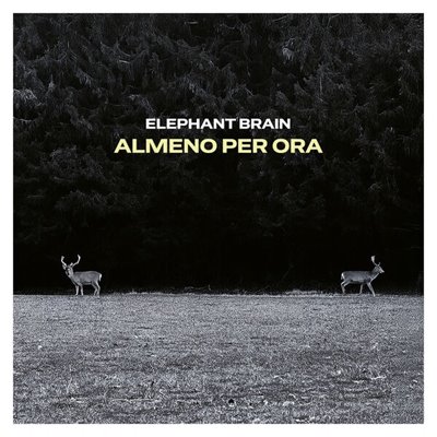 Elephant Brain – Almeno Per Ora (2025) MP3/FLAC