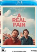 img A Real Pain (2024) mkv FullHD 1080p DTS ENG AC3 ITA ENG Sub