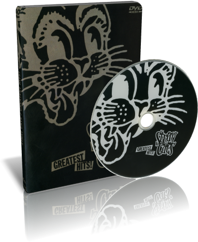 Stray Cats – Greatest Hits (2001) DVD5