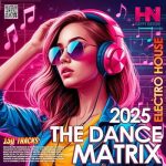 img VA - The Dance Matrix (2025) MP3