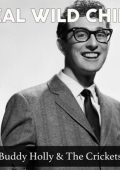 Buddy Holly - Real Wild Child [Remastered, 24-bit Hi-Res] (1979/2025) FLAC