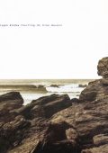 Aphex Twin - Surfing On Sine Waves (1993) Expanded Edition, (2025) [FLAC 24/44.1