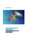 Mauro Ricchetti - Infinitamente piccolo immensamente grande (2025)