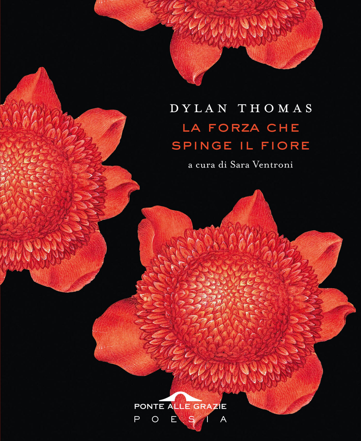 Dylan Thomas – La forza che spinge il fiore (2025)