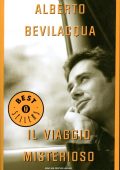 Alberto Bevilacqua - Il viaggio misterioso (2014)