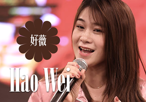 Hao Wei (好薇, Vivian) – Collection (10 albums) (2021 – 2025) MP3, 320 kbps