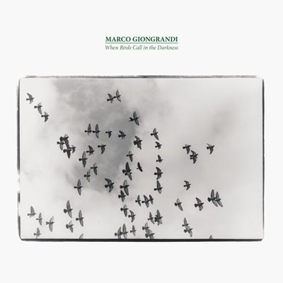 Marco Giongrandi – When Birds Call in the Darkness (2025) MP3/FLAC