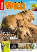 Focus Wild - Novembre 2025 [True PDF]