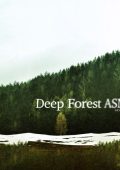 Deep Forest - Deep Forest ASMR (2025) [MP3 320/Flac 24-44]