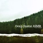 img Deep Forest - Deep Forest ASMR (2025) [MP3 320/Flac 24-44]