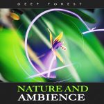 img Deep Forest - Nature and Ambience (2025) [MP3 320/Flac 24-44]