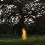 img Maju - Still Becoming (2025) [MP3 320/Flac 16-44]