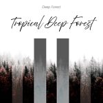 img Deep Forest - Tropical Deep Forest (2025) [MP3 320/Flac 24-44]