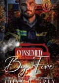 Adina D. Grey - Nanteville 13 Dipartimento di Pompieri Vol. 2. Consumed by Fire (2025)