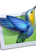 img [PORTABLE] WnSoft PTE AV Studio Pro...
