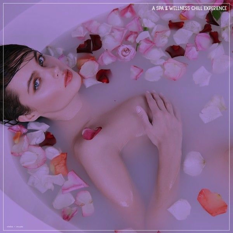 VA – A Spa & Wellness Chill Experience (2025) FLAC