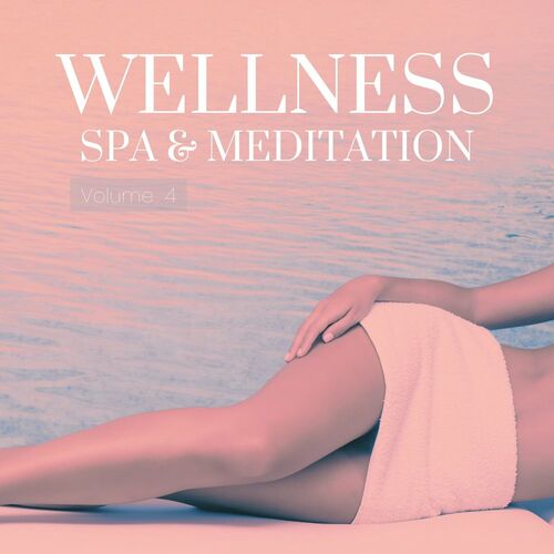 VA – Wellness, Spa & Meditation, Vol. 4 (2022) MP3