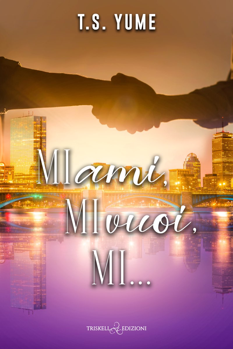 T.S. Yume – Boston Guys Vol. 2. Mi ami, mi vuoi, mi… (2025)