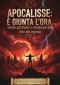Stefano D'angelo - Apocalisse: è giunta l'ora. Guida spirituale e materiale alla fine del mondo (2025)