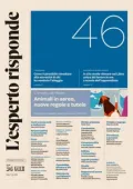 img Il Sole 24 Ore L