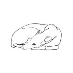 img Problemidifase - Tutto Quello Di Cui Avevamo Bisogno (2025) [MP3 320/Flac 16-44]