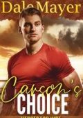 Dale Mayer - Heroes for Hire Vol. 28. Carson's Choice (2025)