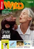 img Focus Wild - Dicembre 2025 [True PDF]