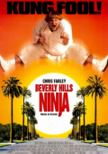 img Mai dire Ninja (1997).mkv  1080p X264 AC3 2.0 iTA 5.1 ENG