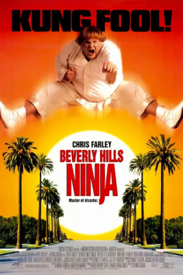 Mai dire Ninja (1997).mkv  1080p X264 AC3 2.0 iTA 5.1 ENG