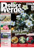 img Pollice Verde N.181 - Dicembre 2025-Gennaio 2026