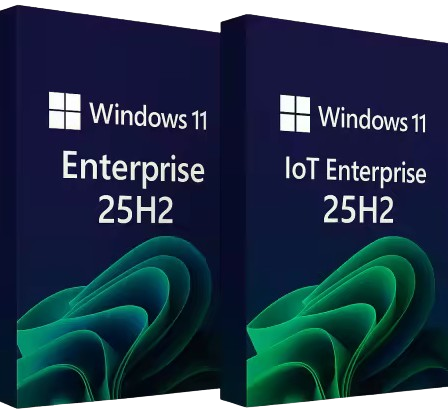 Windows 11 Enterprise & Iot Enterprise 25H2 Build 26200.7019 (non è richiesto TPM) Preattivato 64 Bit – Ita