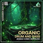 img VA - Organic Drum And Bass (2025) MP3