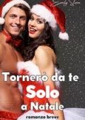 Emily Storm - Prohibited Christmas Vol.4. Tornerò da te solo a Natale (2025)