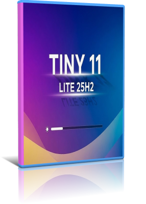 Microsoft Windows 11 Enterprise Lite 25H2 Build 26200.8457 x64 – ITA