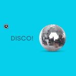 img Disco! (2025) .mp3 - 320 kbps / FLAC [Hi-Res]